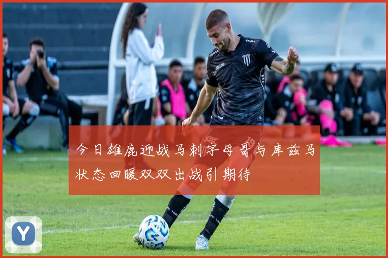 今日雄鹿迎战马刺字母哥与库兹马状态回暖双双出战引期待