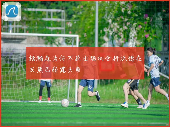 杨瀚森为何不获出场机会科沃德在灰熊已崭露头角